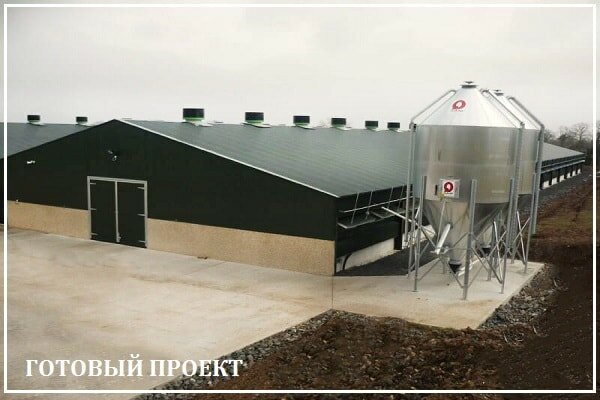 Этапы возведения птицефабрики от завода ВелесТент-грз